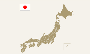 overview of japan